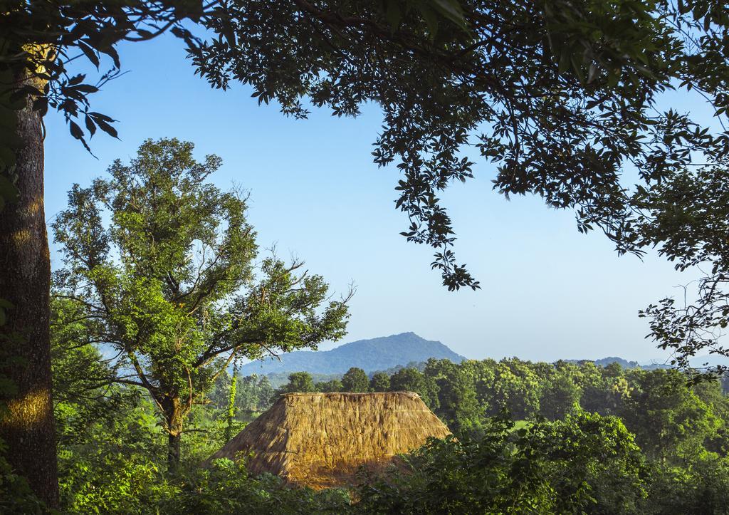 Gal Oya Lodge Galgamuwa  Номер фото